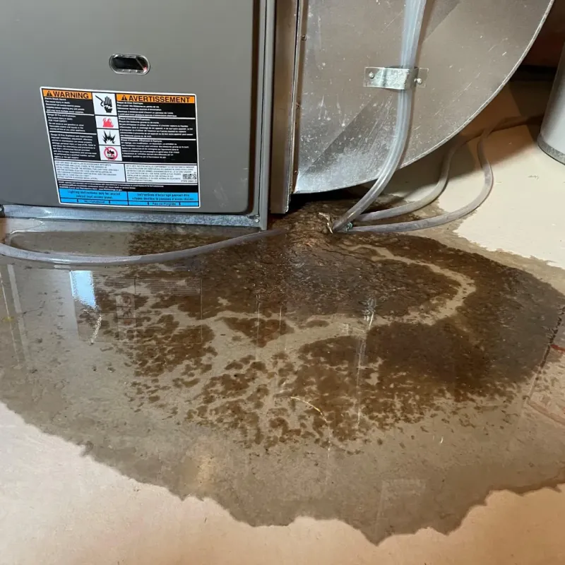 Appliance Leak Cleanup in Bolivar, TN