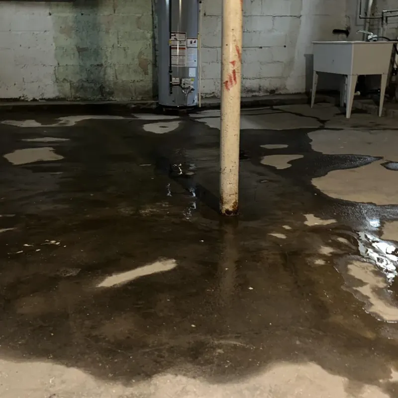 Emergency Water Extraction And Removal in Bolivar, TN